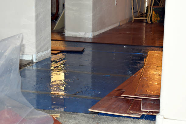 Professional Water Extraction technician working in Esmond, IL